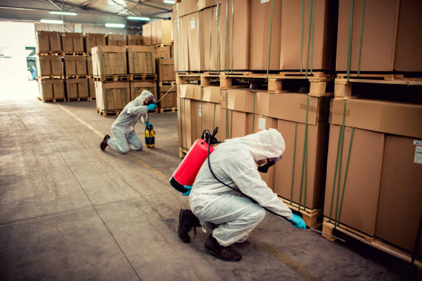 Wildlife Control Services in Wichita Falls, TX