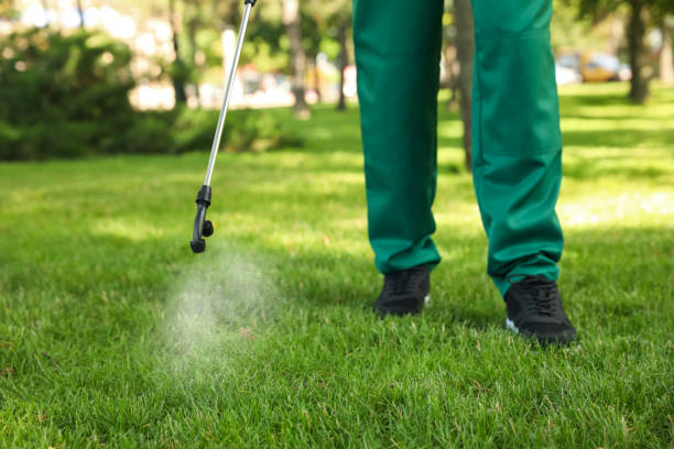 Best Mosquito Control Services  in Wichita Falls, TX