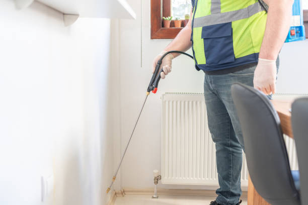 Best Affordable Pest Control Services  in Wichita Falls, TX