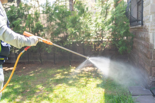 Wildlife Control Services in Wichita Falls, TX